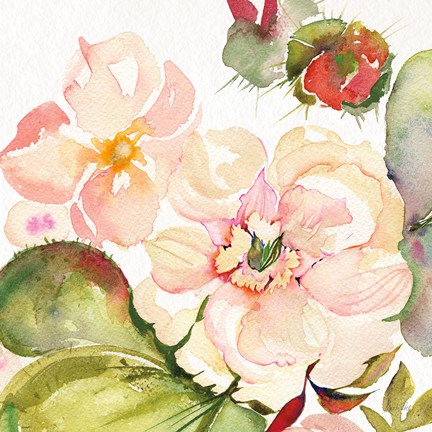 Framed Desert Rose III Print