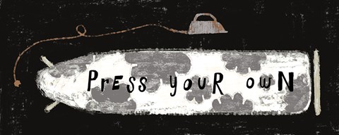 Framed Laundry Rules II Grey Flowers Black Print