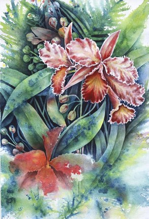 Framed Red Orchid Print