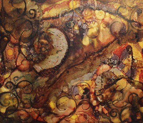 Framed Fossils Print