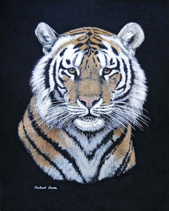 Framed Tiger Print
