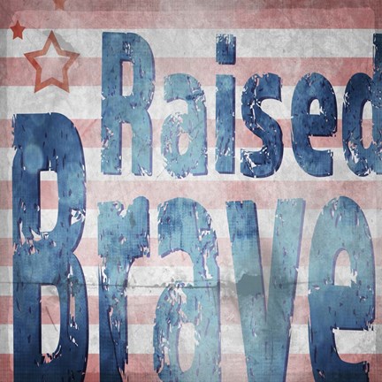 Framed American Born Free Sign Collection 2 Print