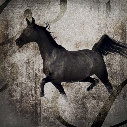 Framed Gypsy Horse Collection V1 2 Print