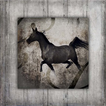 Framed Gypsy Horse Collection V1 7 Print