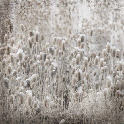 Framed My Farm My Way Photos 3 Print