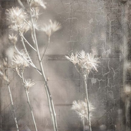 Framed My Farm My Way Photos 7 Print