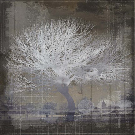 Framed My Farm My Way Photos 13 Print