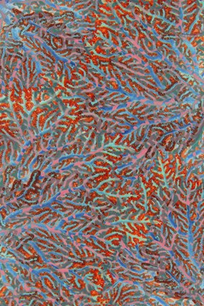 Framed Sea Creatures Surface Pattern 2 Print