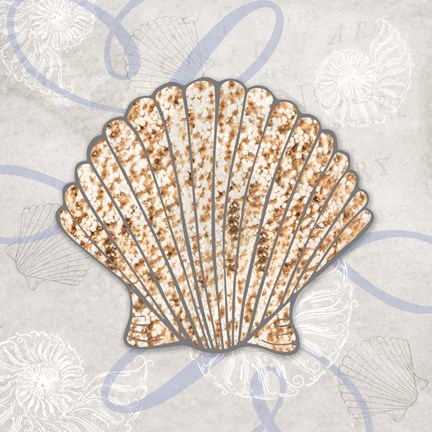 Framed Sea Side Gypsy - Shell Print