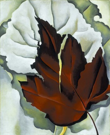 Framed Pattern of Leaves Print