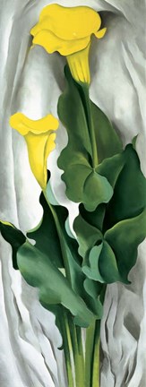 Framed Yellow Calla Print