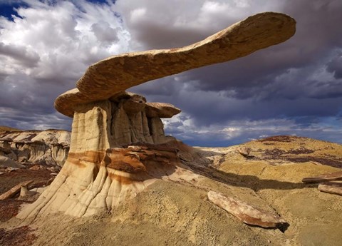 Framed NM Ah-shi-sle-pah King Of Wings Print