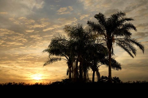 Framed Sunrise Experinemt Print