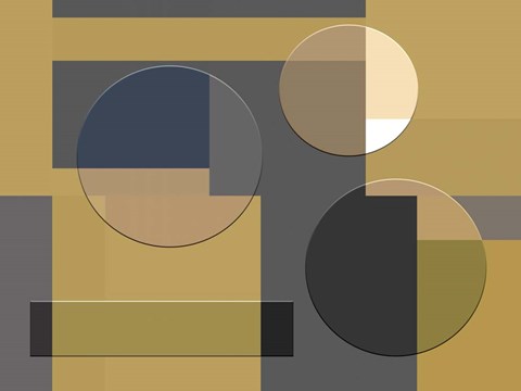 Framed Beauty Of Shades Print