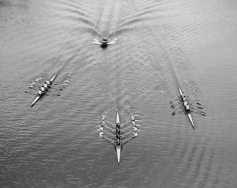 Framed 1950s Aerial View Of Rowing Competition Print