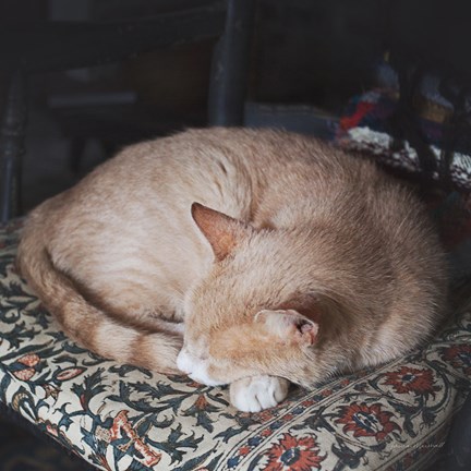 Framed Sleepy Afternoon Print