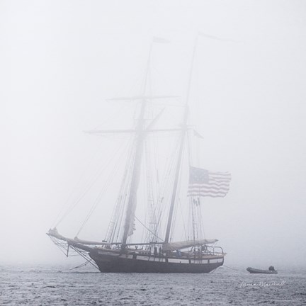 Framed Through the Mist Print