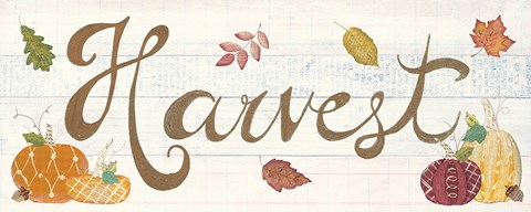 Framed Autumn Bounty III Print