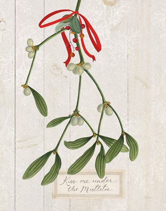 Framed Joyful Tidings V on Wood Print