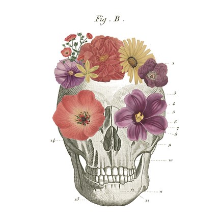 Framed Floral Skull II Print