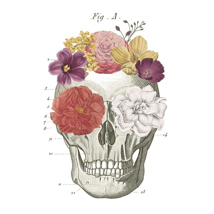 Framed Floral Skull I Print