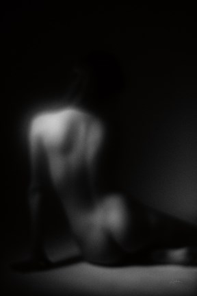 Framed Silhouette Print