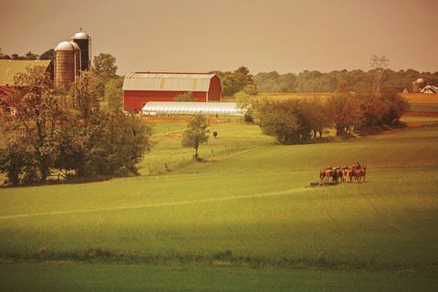 Framed Fall Farm Print