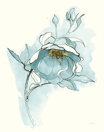 Framed Carols Roses V Blue Print