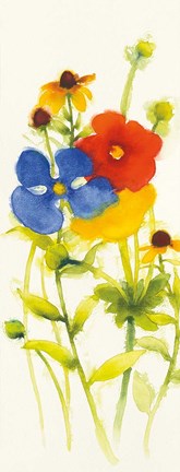 Framed Americana Meadow IV Print