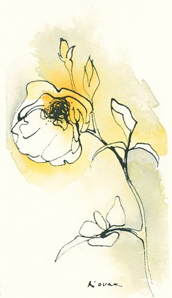 Framed Carols Roses I Print