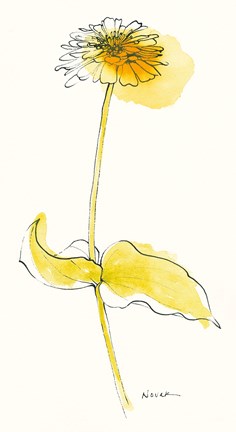 Framed Zinnia V Print