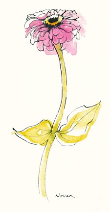 Framed Zinnia I Print