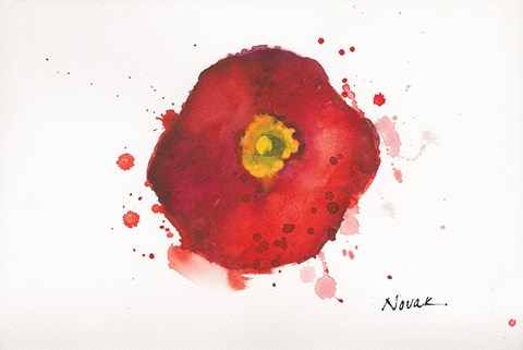 Framed Splash III Print