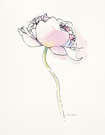 Framed Single Pink Somniferum I Print