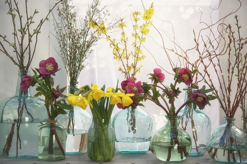 Framed Spring Flowers in Glass Bottles I Print