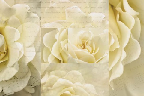 Framed Daydream III Print