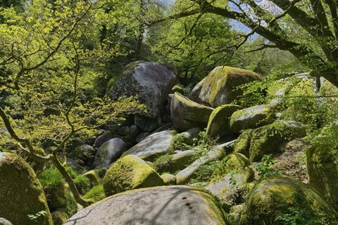 Framed Chaos Of  Huelgoat I Print