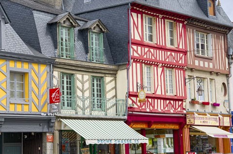 Framed Timber Framed Shops Print