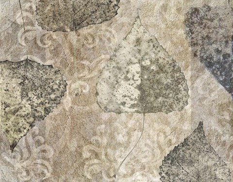 Framed Autumn Leaves Birch Print