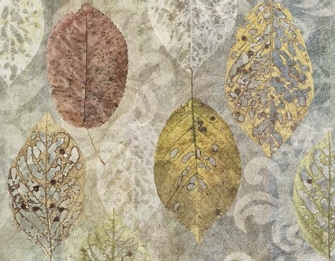 Framed Autumn Leaves Print