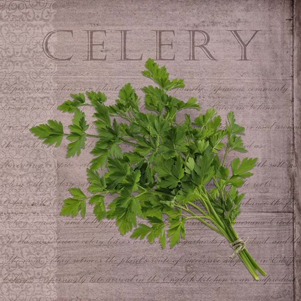 Framed Classic Herbs Celery Print