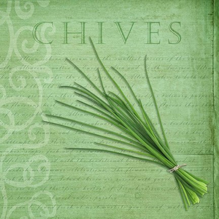Framed Classic Herbs Chives Print