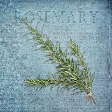 Framed Classic Herbs Rosemary Print
