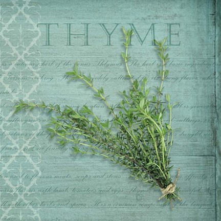 Framed Classic Herbs Thyme Print