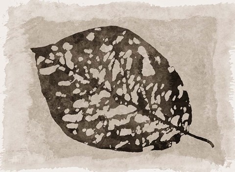 Framed Sepia Leaf Print