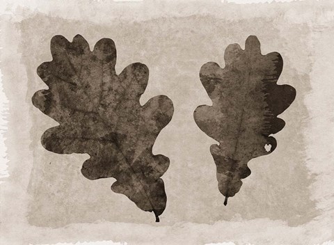 Framed Sepia Oak Leaves Print