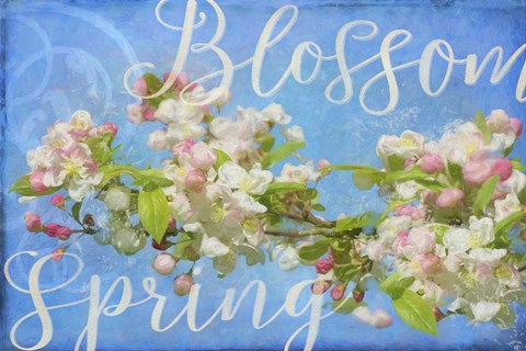 Framed Spring Blossom Print