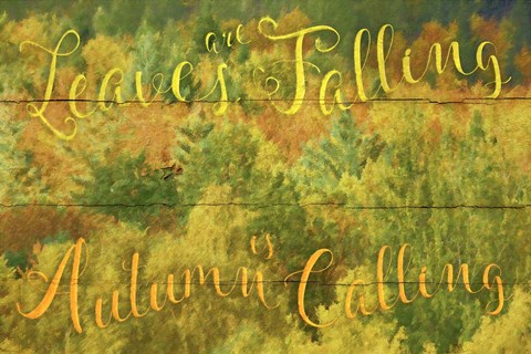 Framed Leaves Are Falling Print