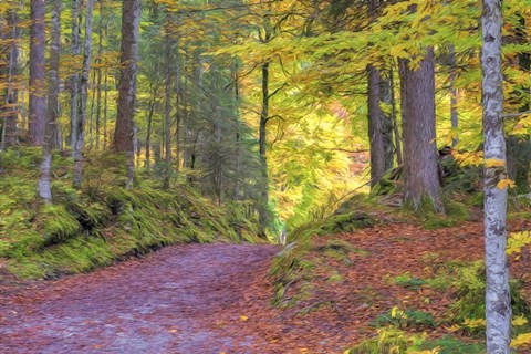 Framed Wood Walk Painting Print