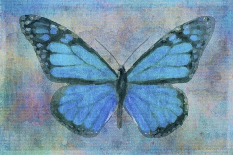 Framed Blue Butterfly Watercolor Print